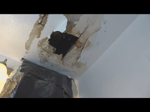 State Farm denies renter's claim for roof leak damages