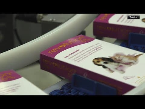 Agriculture Department approves license to company, aiming to prevent bird flu