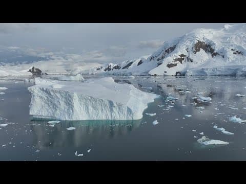 Acidic waters around Antarctica could spell doom for marine life