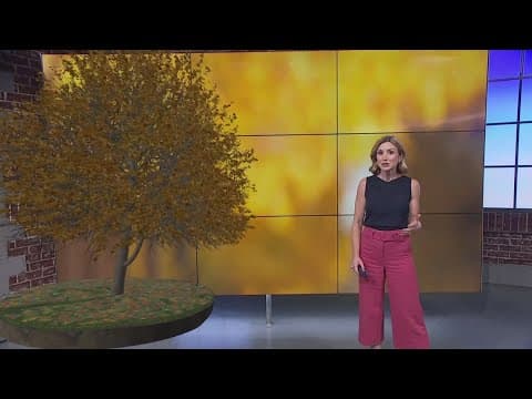 Fall Foliage and Climate Change