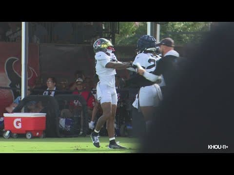 Things got a little chippy at Texans training camp
