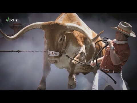 No, the SEC didn't ban any live animal mascots from conference football championship game before UT'