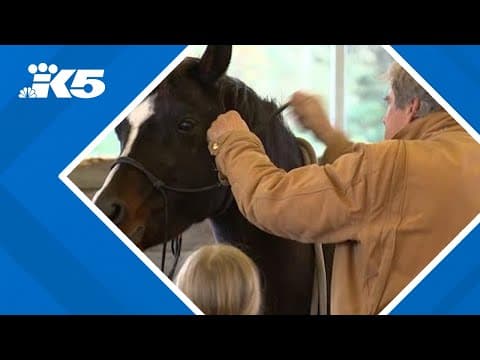 Fall City community hosts horse therapy event in wake of quintuple homicide