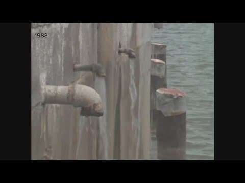 WWL-TV Flashback: Saltwater intrusion Plaquemines Parish in 1988