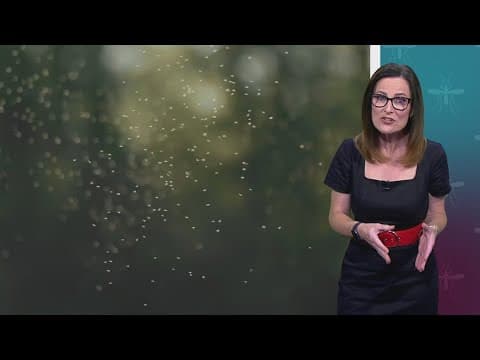 Dallas County Health Department warns breeding will increase as the region dries out