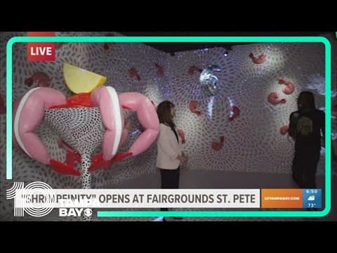 New interactive 'Shrimfinity' exhibit at Fairgrounds St. Pete