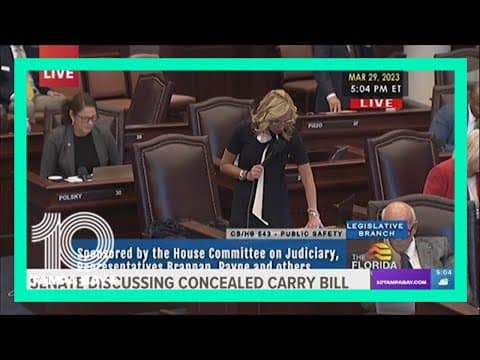 Florida senate to discuss changing state's concealed carry law