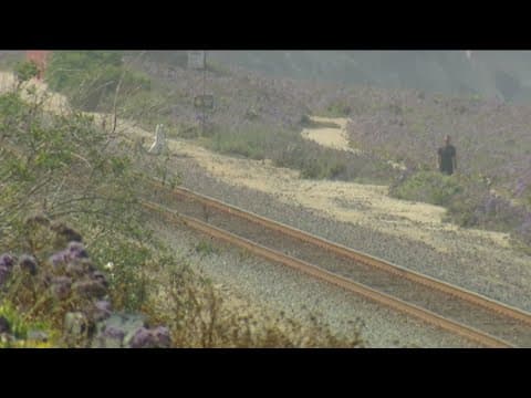 SANDAG invites public to weigh in on three options for Del Mar train relocation