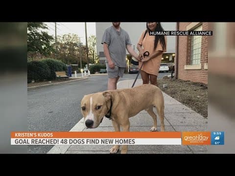 48 dogs find new homes in 48 hours thanks to the Humane Rescue Alliance