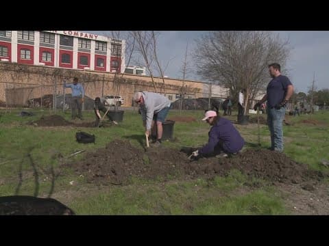 New plan could beautify New Orleans and combat flooding