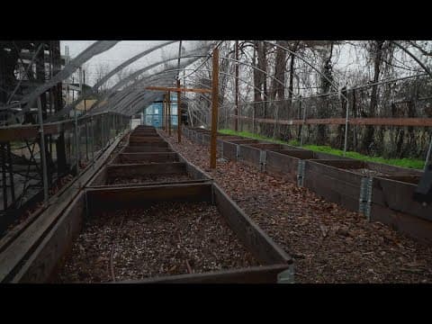Restorative Farms brings healthy food access to South Dallas