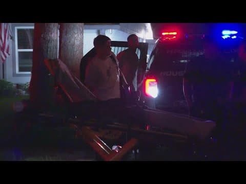 Teen shot during carjacking in Deer Park, police say