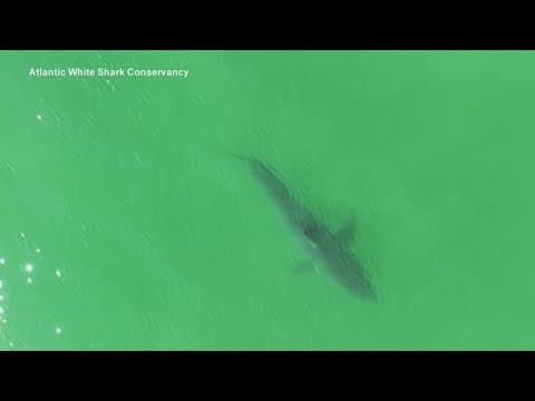 Daughter of South Padre shark attack victim shares update on her mom