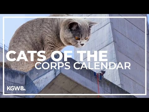 Army Corps of Engineers debuts cat calendar