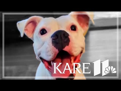 Dog rescued from Scandia house fire meets her heroes