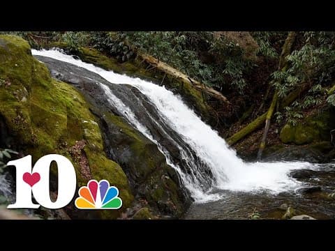 A hike to Meigs Creek Cascade in the Great Smoky Mountains | 10Explores