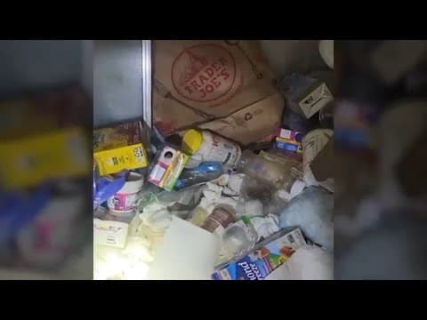 Massachusetts condominium complex goes to court after one unit has estimated 100,000 bed bugs