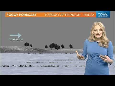 Live Doppler 13 forecast | Noon update for Tuesday, Jan. 23, 2024