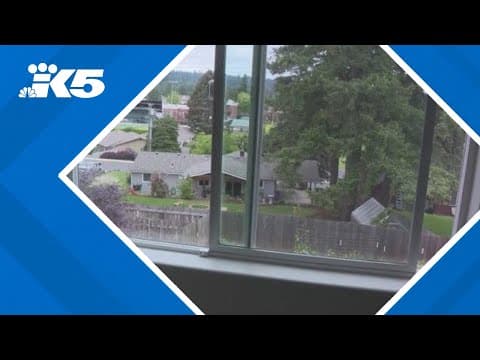 4-year-old boy injured in fall from window