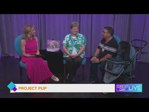 Biscuit the therapy dog