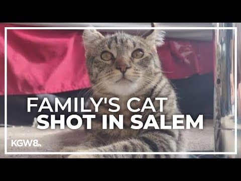 Video captures group shooting and killing Salem family's cat outside home