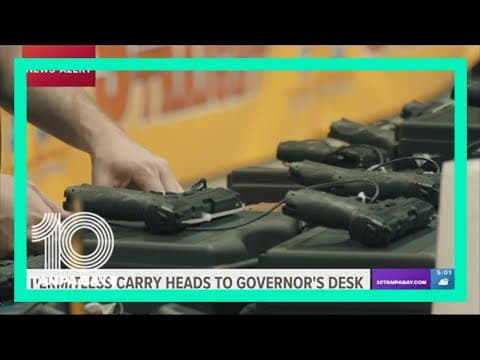 Florida Senate passes SB 150 to allow 'constitutional carry'