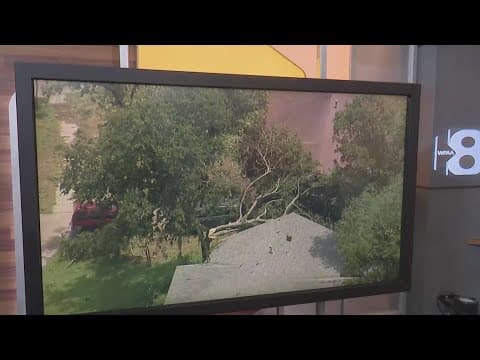 Mayor of Richardson issues disaster declaration