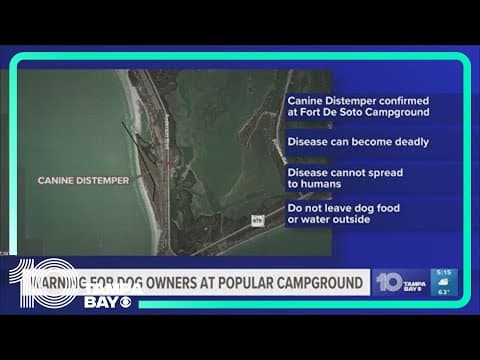 Potentially deadly dog virus detected at Fort DeSoto Park campground