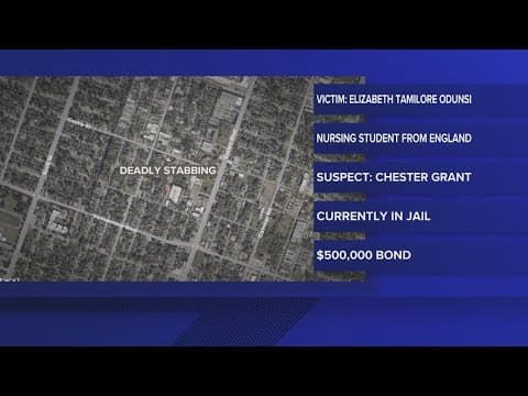 Houston nursing student stabbed to death inside her apartment by her roommate, court docs day