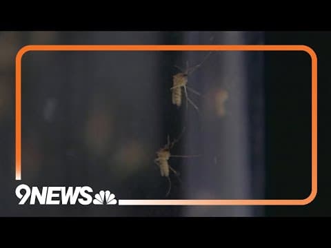 Growing concern over West Nile Virus