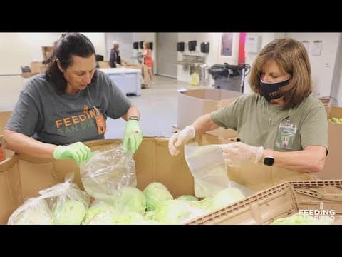 Feeding San Diego leading the battle against hunger