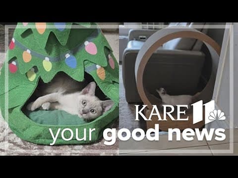 Your Good News: JoAnn Payfer, Mary Douglas, Priscilla Freeberg