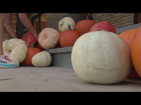 A woman turned a passion for pumpkins into business