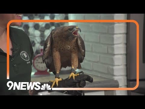 Celebrating native species for Colorado's birthday