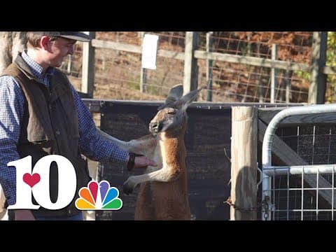 Have a hopping good time at Little Ponderosa's low sensory night