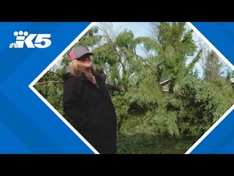 'I did not expect this level of disaster': Issaquah residents react to strong storm