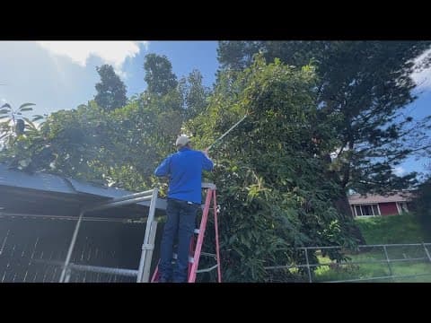 More cold weather forecasted in San Diego | Here's how to protect your plants