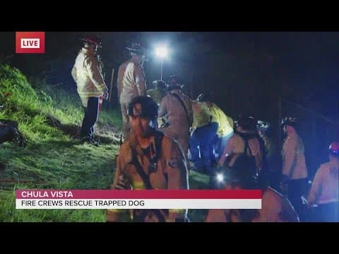 WATCH: The moment San Diego fire crews safely rescue dog trapped for hours in 60 foot hole