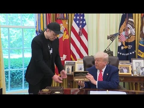 Trump gives Musk a key for his DOGE work