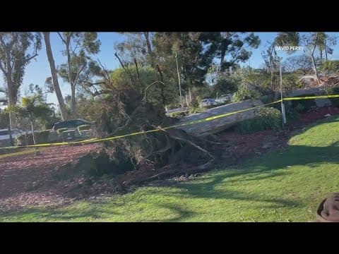 San Diego Mayor: Balboa Park closed due to gusty winds that caused trees to fall