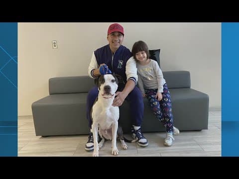 'It's a tie' | Chief vs. Chief dog adoptions final tally