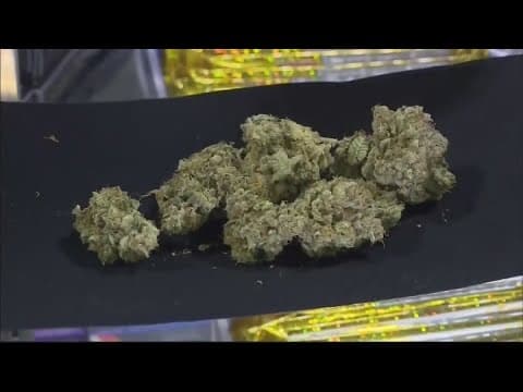 Ohio marks $702.5 million in marijuana sales in first year