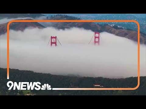Is fog is disappearing from areas of Pacific Coast?