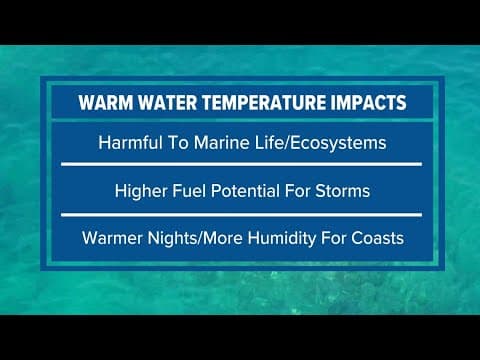 'Hot tub level' | Water temperatures off Florida Keys challenges global record