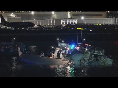 Family of one of the Washington plane crash victims sues American Airlines, the FAA and the Army