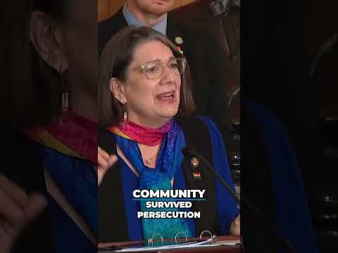 Ohio Democrats propose LGBTQ+ protections while GOP defends SAFE Act #shorts