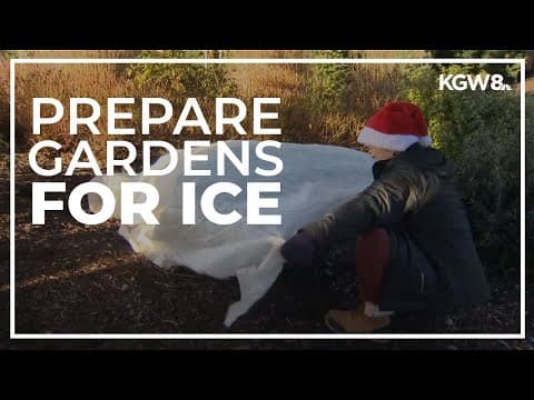How to prepare your garden for cold, freezing temperatures