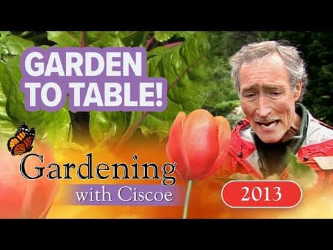 GARDEN TO TABLE! How to Grow Fresh Lettuce! | Gardening With Ciscoe | Full Episode