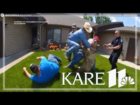 Police officers lasso a sheep with the help of local cowboys