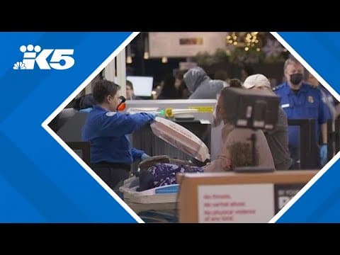 Suspect snuck onto Delta flight at SEA Airport before being arrested